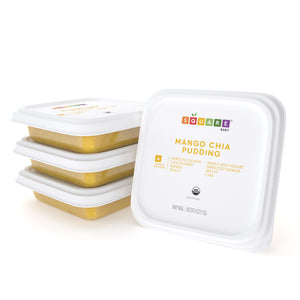 Mango Chia Pudding group